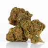 Maui Mango Diesel (AA)