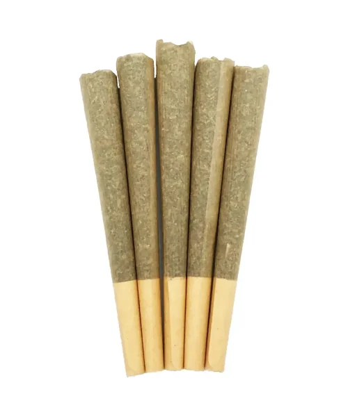Premium 1g House Joints (Craft) - 5 Pack