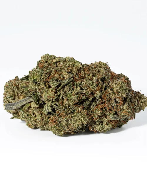 Galactic Gas (AAAA)
