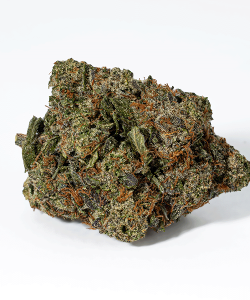 Rockstar Tuna (AAA+)