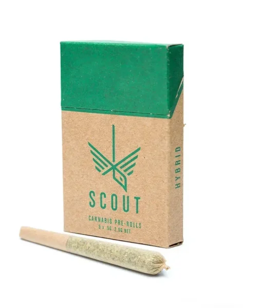 Scout - 5 Pack Pre-Rolls (0.5g)