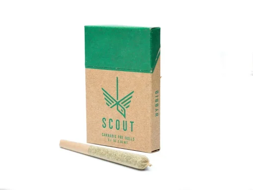 Scout - 5 Pack Pre-Rolls (0.5g)