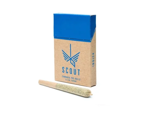 Scout - 5 Pack Pre-Rolls (0.5g) - Image 2