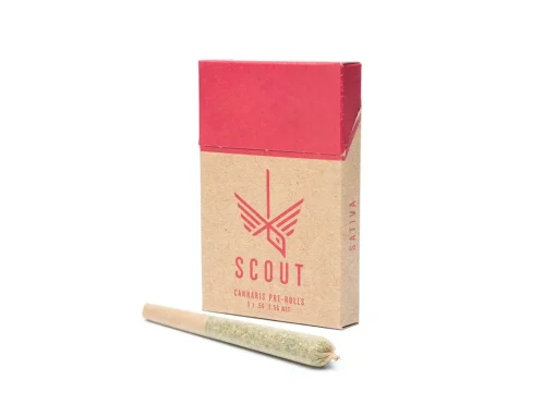 Scout - 5 Pack Pre-Rolls (0.5g) - Image 3