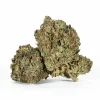 Ultra Pink (AAA+)