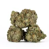 Ultra Pink (AAA+)