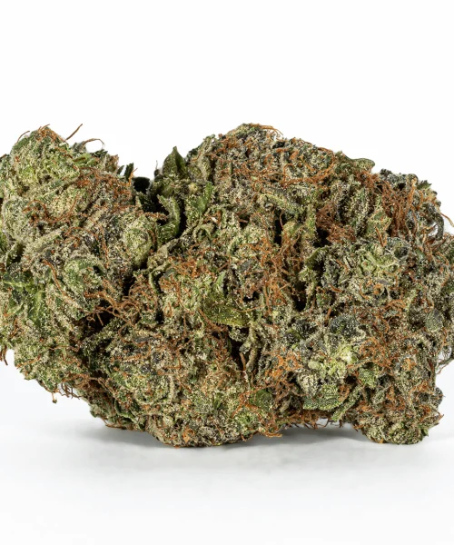 Ultra Pink (AAA+)