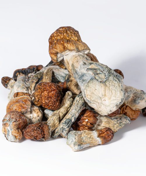 Vietnamese Mushrooms