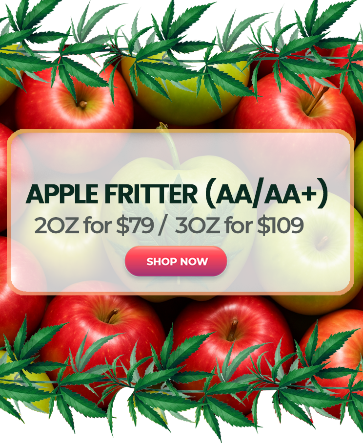 Apple Fritter