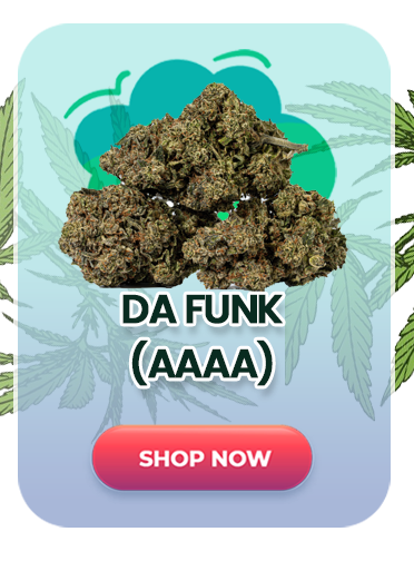 Da Funk