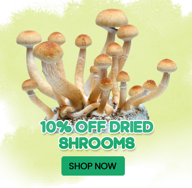 10% OFF Dried Shrooms