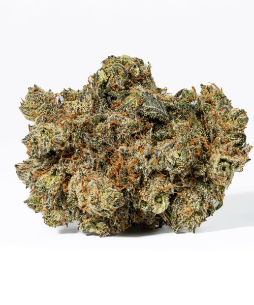 Montana Silver (AAA)