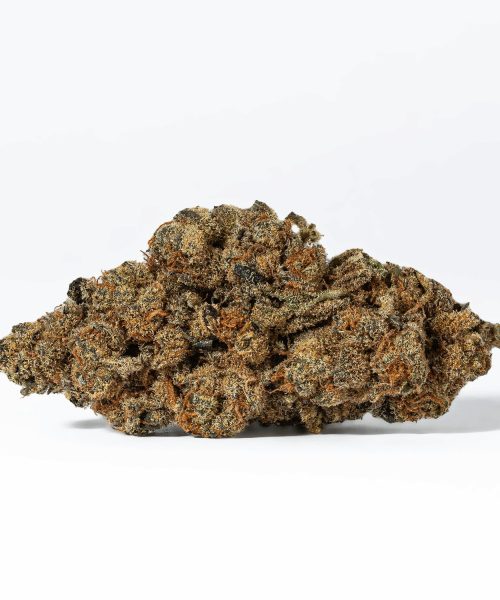 Blue Java (AA)