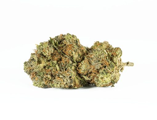 El Jefe (AAA+)