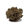 Romulan (AA)