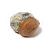 Dino Eggs