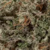 Slurricane (AAAA+/Popcorn)