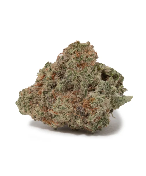 Slurricane (AAAA+/Popcorn)