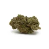 Sensi Star (AA)