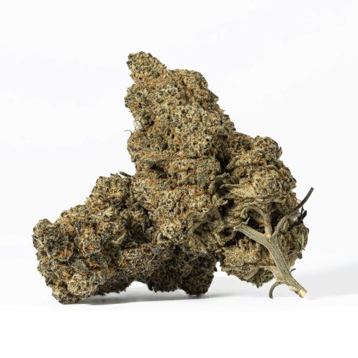 Nuken (AA+)