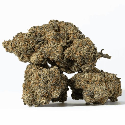 Nuken (AA+)