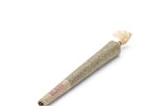 Free Joint