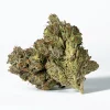 Ghost Ship (AAA+)