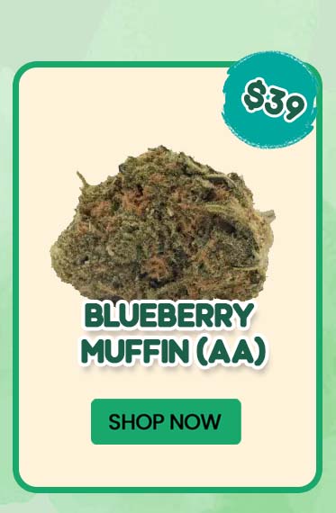 Blueberry Muffin (AA) - $39