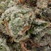 Green Crack (AAAA)