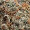 Cookies & Cream (AAA+)