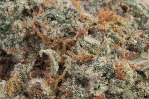 Cookies & Cream (AAA+)