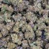 Pink Gas Mask (AAAA/Popcorn)