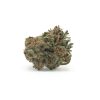 Euphoria (AA+)