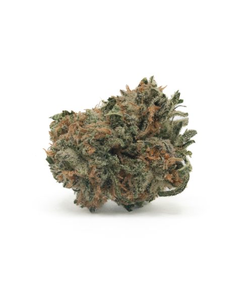 Euphoria (AA+)