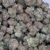Euphoria (AA+)