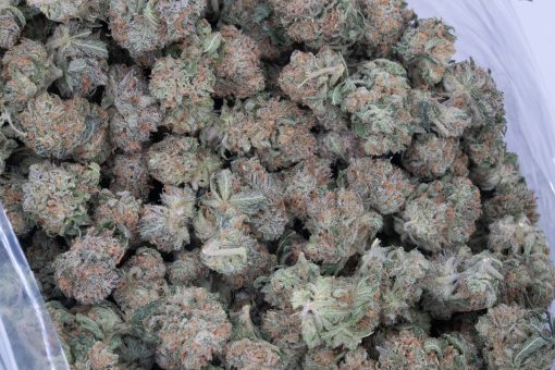 Euphoria (AA+)