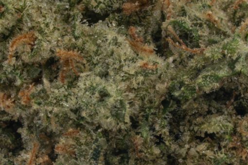 Pineapple Express (AAAA/Popcorn)