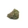 Jungle Cake (AA/Popcorn)