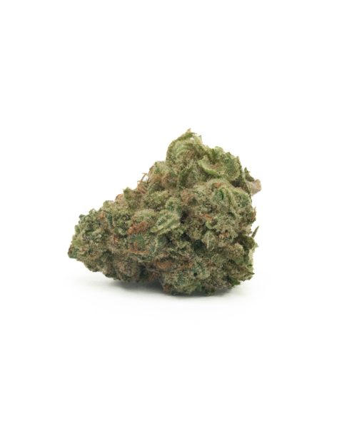 Jungle Cake (AA/Popcorn)