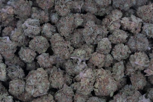 Jungle Cake (AA/Popcorn)