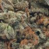 Donkey Butter (AAAA/Popcorn)
