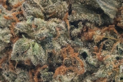 Donkey Butter (AAAA/Popcorn)