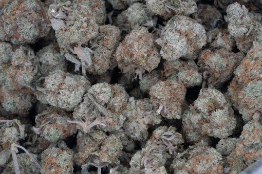 Donkey Butter (AAAA/Popcorn)