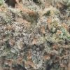 Grape Soda (AA)