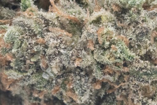 Grape Soda (AA)