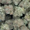 Grape Soda (AA)