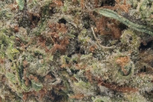 Bubba Kush (AA)