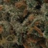 Cherry Cola (AA)
