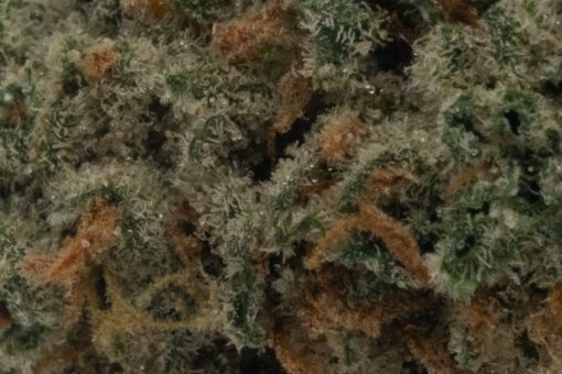 Cherry Cola (AA)