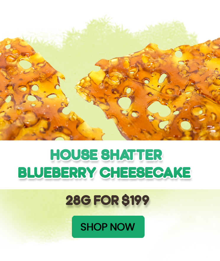 House Shatter – Blueberry Cheesecake (Hybrid) - 28G for $199